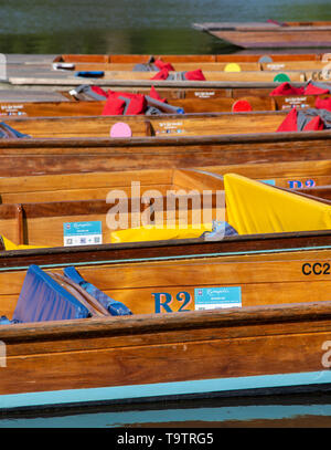 Sterline redatto sulle rive del fiume Cam, Cambridge Foto Stock