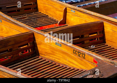 Sterline redatto sulle rive del fiume Cam, Cambridge Foto Stock