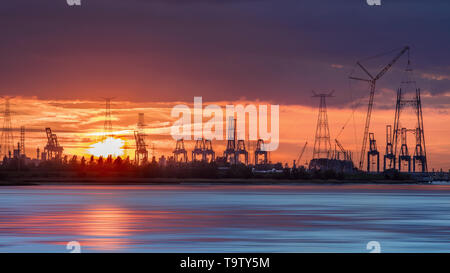 Riverbank con sagome di terminal per container gru durante un colore arancio tramonto, porto di Anversa, Belgio. Foto Stock