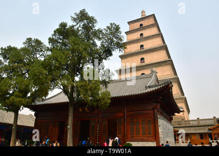 Daci'en tempio komplex, Dàcí'ēn Sì, Giant Pagoda dell'Oca Selvaggia o la Grande Pagoda dell'Oca Selvaggia, Dàyàn tǎ, Xi'an, Hszian, Cina, Asia, Patrimonio Mondiale dell UNESCO Foto Stock
