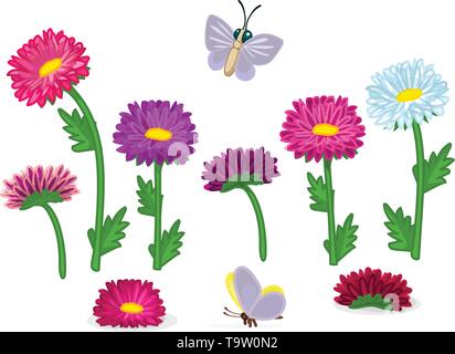 Vettore piante cartoon natura clip art. Fiori Aster Illustrazione Vettoriale