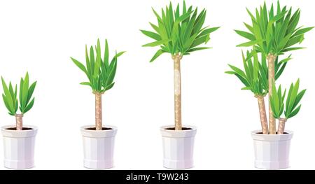 Vettore piante cartoon natura clip art. Potted houseplant impostato Illustrazione Vettoriale