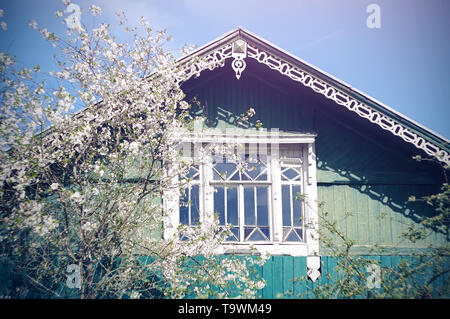 Un bel legno nativo casa di villaggio di blu e di colore turchese con un tetto scolpito e una cornice bianca su una bellissima finestra, accanto alla quale una ciliegia Foto Stock