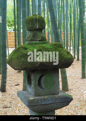 Vecchia lanterna di pietra nel Hokokuji Foresta di Bamboo (Hokokuji tempio) Foto Stock