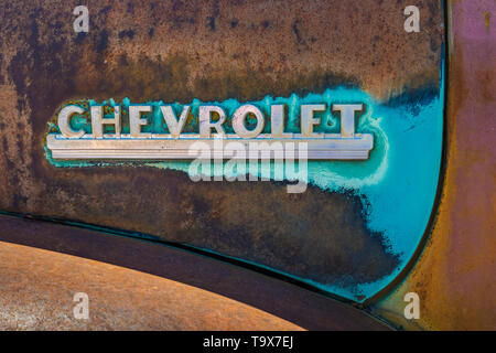 Vecchia Chevrolet Badge su un raccoglitore di Dave Carrello vecchia collezione di salvataggio in Sprague, nello Stato di Washington, USA Foto Stock