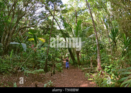 Signora osserva la foresta tropicale nell'Isola dei Pini, Nuova Caledonia, Sud Pacifico Foto Stock