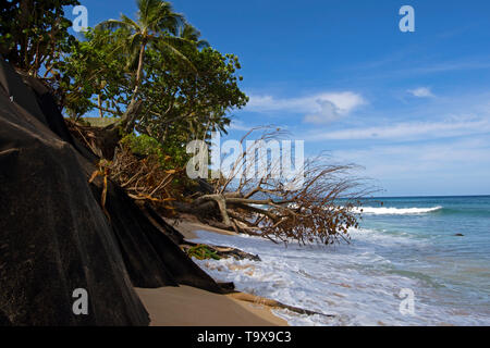 Spiaggia di grave erosione in Ehukai Beach o Banzai Pipeline, North Shore di Oahu, Hawaii, STATI UNITI D'AMERICA Foto Stock