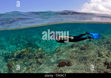 Snorkeler gode di pesci in Honaunau Bay, Kona, Big Island, Hawaii, STATI UNITI D'AMERICA Foto Stock