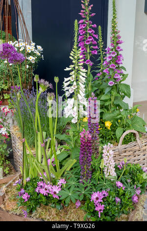 Display floreale al di fuori del negozio Linley a Pimlico Road per il Chelsea in Fiore 2019. Il quartiere di Belgravia a Londra, Inghilterra Foto Stock