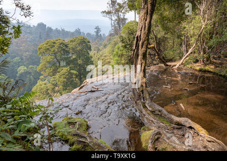 Cascate Russel, Tasmania Foto Stock