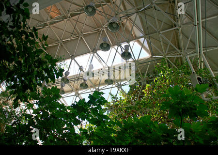 All'interno del Rainforest Dome a Bisosphere 2, l'Americano scienza del sistema Terra centro di ricerca situato in Oracle, AZ Foto Stock