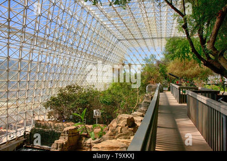 All'interno della foresta pluviale e area oceano a Bisosphere 2, l'Americano scienza del sistema Terra centro di ricerca situato in Oracle, AZ Foto Stock