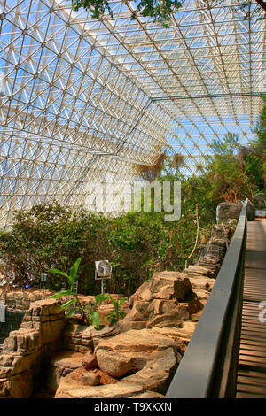 All'interno della foresta pluviale e area oceano a Bisosphere 2, l'Americano scienza del sistema Terra centro di ricerca situato in Oracle, AZ Foto Stock