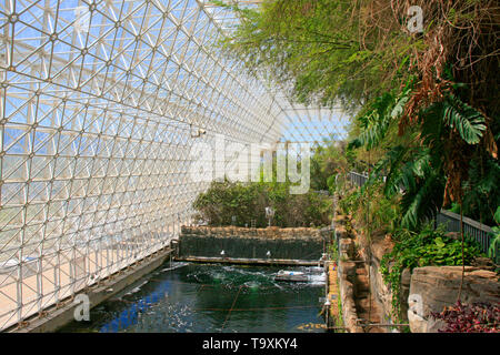 All'interno della foresta pluviale e area oceano a Bisosphere 2, l'Americano scienza del sistema Terra centro di ricerca situato in Oracle, AZ Foto Stock