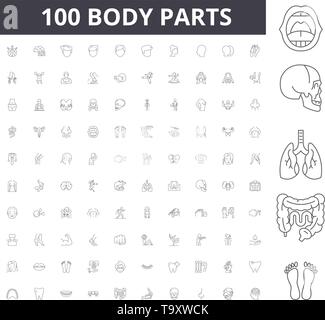 Le parti del corpo linea anatomia icone, segni, set di vettore, illustrazione di contorno concept Illustrazione Vettoriale