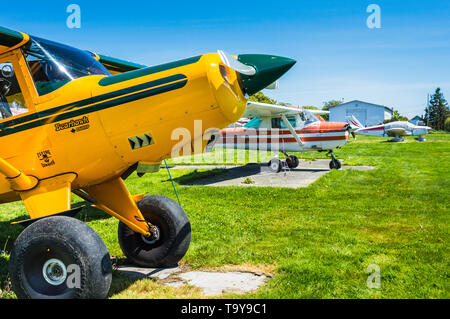 7 maggio 2019 - Delta British Columbia: motore unico prop Bearhawk 250HP aereo parcheggiato a Delta Airpark patrimonio sulla luminosa giornata di sole. Foto Stock