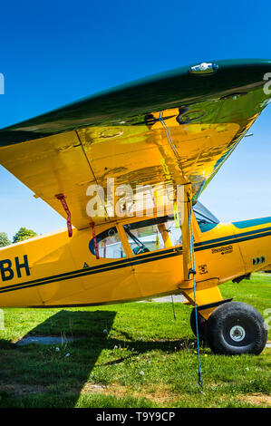 7 maggio 2019 - Delta British Columbia: motore unico prop Bearhawk 250HP aereo parcheggiato a Delta Airpark patrimonio sulla luminosa giornata di sole. Foto Stock