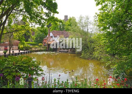 Smarden laghetto, Kent, Regno Unito Foto Stock