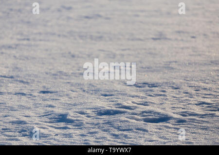 campo di neve lontano texture stagionali con messa a fuoco selettiva Foto Stock