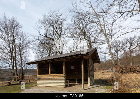 Piccola capanna in un bosco di latifoglie in primavera di Vienna (Austria) Foto Stock