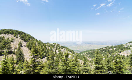 Shouf riserva della biosfera foresta di cedro, Barouk, Libano Foto Stock