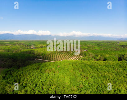 Vista aerea sopra il verde dello sfondo. Bellissimo paesaggio scenic nella stagione estiva Foto Stock