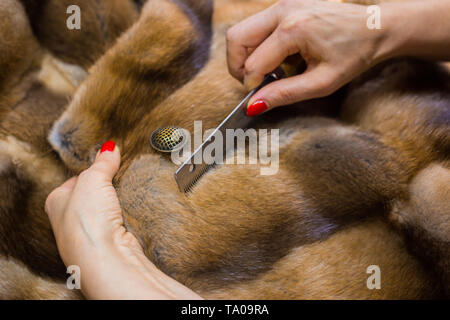 Professional sarto, designer pettinatura di pelliccia all'atelier, studio. La moda e la sartoria concept Foto Stock