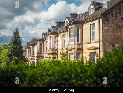 Bionda pietra arenaria di case a schiera su una strada alberata a Glasgow Scozia Scotland Foto Stock