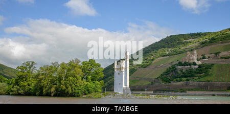 Torre di topo e di Ehrenfels castello, sito patrimonio mondiale dell'Unesco, Bingen sul Reno, Valle del Reno superiore e centrale, Renania-Palatinato, Germania Foto Stock