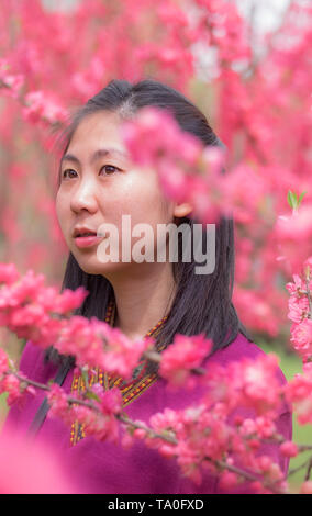 WUHAN-HUBEI/Cina, MAR 29-2019: Wuhan Botanic Garden. Vaga fanciulla sta guardando la prugna Fiore fiore nella parte del giardino. Si tratta di uno dei Foto Stock