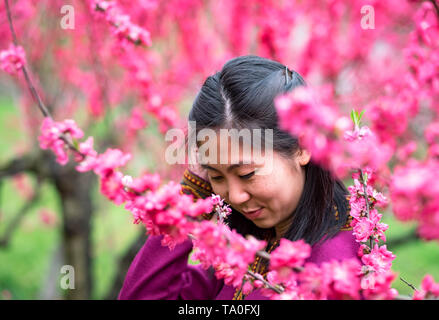 WUHAN-HUBEI/Cina, MAR 29-2019: Wuhan Botanic Garden. Vaga fanciulla sta guardando la prugna Fiore fiore nella parte del giardino. Si tratta di uno dei Foto Stock