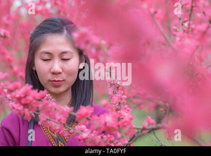 WUHAN-HUBEI/Cina, MAR 29-2019: Wuhan Botanic Garden. Vaga fanciulla è di chiudere gli occhi alla prugna Fiore fiore nella parte del giardino. It' Foto Stock