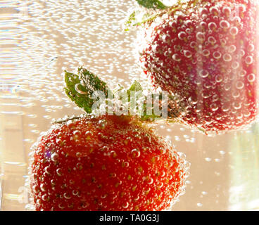 Vino spumante champagne e fragole su sfondo bianco Foto Stock