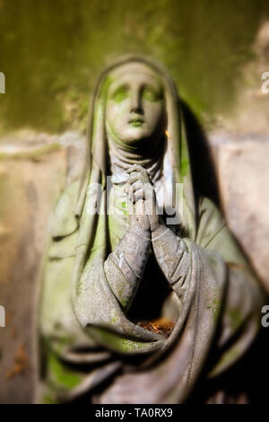 Alter Friedhof cimitero, Bonn, Renania settentrionale-Vestfalia, Germania, Europa Foto Stock