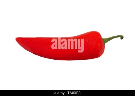 Red hot chili pepper isolati su sfondo bianco Foto Stock
