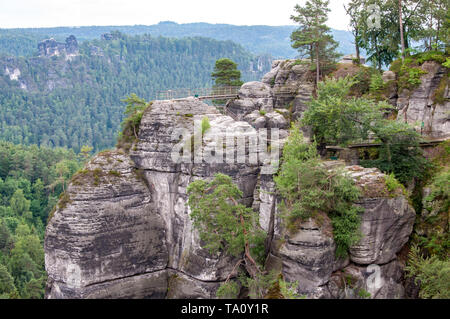 Paesaggio di montagna della Svizzera sassone. Foresta di rocce coperte. Foto Stock
