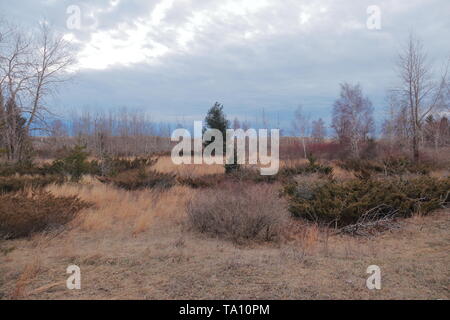 Tawas Point State Park in un ventoso pomeriggio autunnale Foto Stock