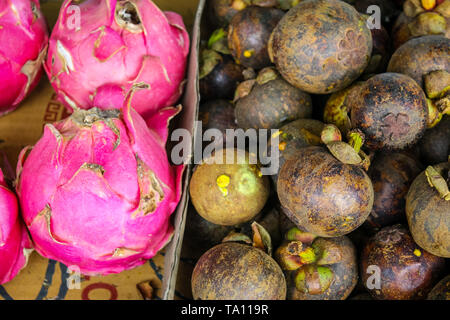 Pila di mangosteen Dragonfruit e. Mangosteen o mangosteen viola è un tropicale albero sempreverde con frutti commestibili nativo di Isola del Sud-est asiatico. Foto Stock