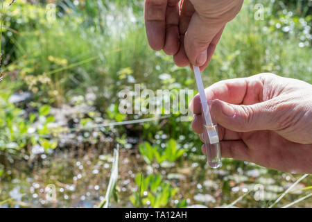 Il valore del PH analisi di un laghetto con una striscia di prova in acqua Foto Stock