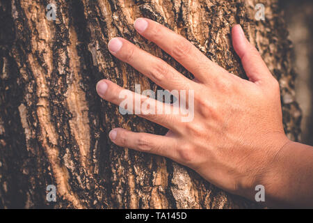 Man mano tenere vecchio albero touch è scesa la texture della natura di ritrattamento di natura bello sfondo di superficie Foto Stock