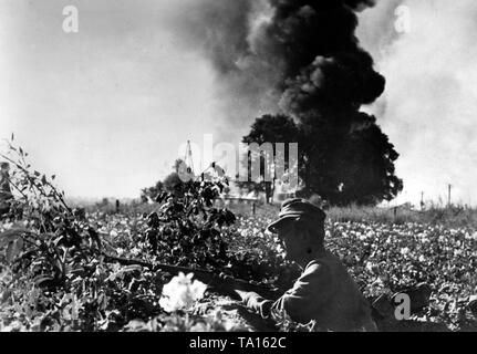 Un soldato tedesco cerca il coperchio dall'artiglieria sovietica incendio in un campo. In background, il fumo sale dal colpire le granate. Il funzionamento di Bagratiòn conduce al crollo dell esercito centro di gruppo. Foto Stock