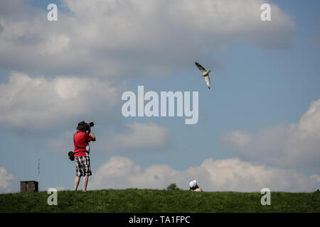 Lo Zoo Whipsnade, UK. 21 Maggio, 2019. Fotografo cattura di uccelli in volo su un pomeriggio soleggiato a ZSL Whipsnade Zoo. Credito: Chris Aubrey/Alamy Live News Foto Stock