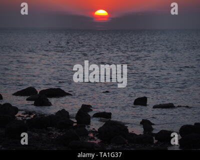 Sheerness, Kent, Regno Unito. 21 Maggio, 2019. Regno Unito Meteo: questa sera al tramonto a Sheerness nel Kent. Credito: James Bell/Alamy Live News Foto Stock