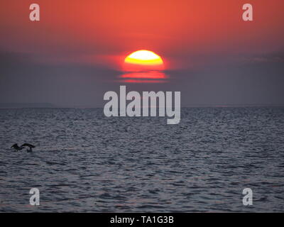 Sheerness, Kent, Regno Unito. 21 Maggio, 2019. Regno Unito Meteo: questa sera al tramonto a Sheerness nel Kent. Credito: James Bell/Alamy Live News Foto Stock