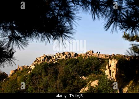 Jinan, la Cina della provincia dello Shandong. 21 Maggio, 2019. Visita turistica Taishan Montagna in Tai'an City, est della Cina di Provincia di Shandong, 21 maggio 2019. Credito: Guo Xulei/Xinhua/Alamy Live News Foto Stock