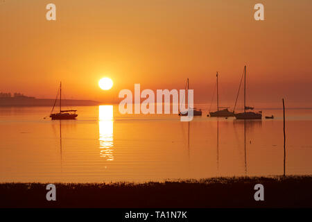 Swale estuario, Kent, Regno Unito. 22 Maggio, 2019. Regno Unito Meteo. Un fresco misty sunrise a Swale estuario in Kent come la marea inizia a retrocedere. Caldo e soleggiato è meteo Le previsioni per i prossimi giorni. Credito: Alan Payton/Alamy Live News Foto Stock