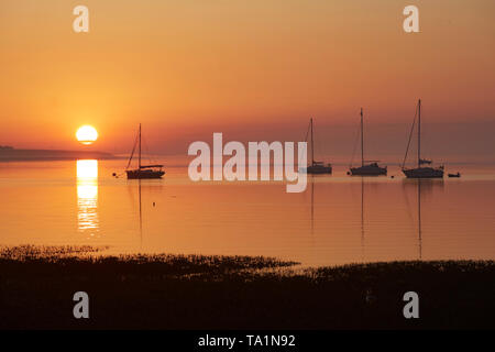 Swale estuario, Kent, Regno Unito. 22 Maggio, 2019. Regno Unito Meteo. Un fresco misty sunrise a Swale estuario in Kent come la marea inizia a retrocedere. Caldo e soleggiato è meteo Le previsioni per i prossimi giorni . Credito: Alan Payton/Alamy Live News Foto Stock