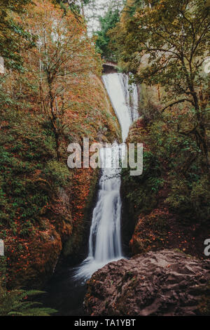 Una lunga esposizione di una cascata di note come velo nuziale cade durante la caduta, situato nella Columbia River Gorge, Oregon, Stati Uniti d'America Foto Stock