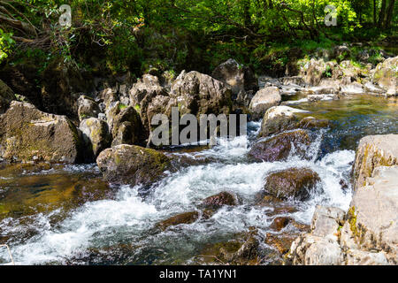 Betws y Coed Conwy Wales Maggio 14, 2019 piccole cascate sul fiume Llugwy come fluisce attraverso il villaggio Foto Stock