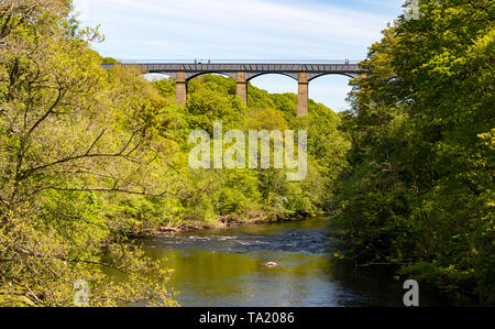 Llangollen Galles Dengighshire Maggio 14, 2019 l'Aquaduct Pontcysyllte come esso porta il Llangollen Canal oltre il fiume Dee Foto Stock